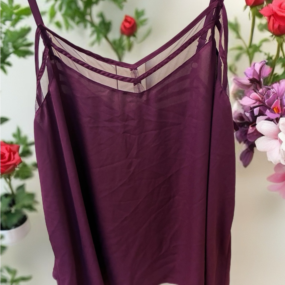 Torrid Deep Purple Sheer Camisole